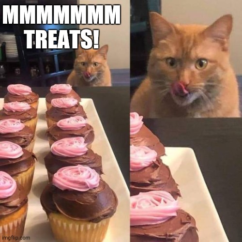 MMMMMMM TREATS! | image tagged in cat licking lips | made w/ Imgflip meme maker