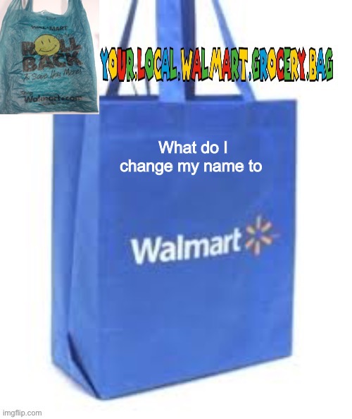 What do I change my name to | image tagged in grocery bag temp 2 | made w/ Imgflip meme maker
