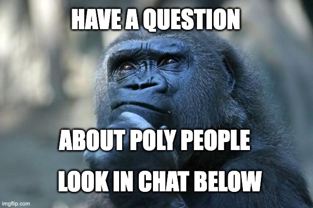 Deep Thoughts | HAVE A QUESTION; ABOUT POLY PEOPLE; LOOK IN CHAT BELOW | image tagged in deep thoughts | made w/ Imgflip meme maker