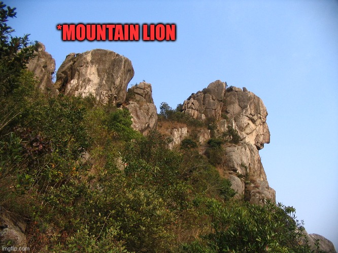 Its a mountain, Its a lion, Its the mountain lion | *MOUNTAIN LION | made w/ Imgflip meme maker