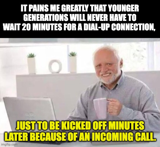 dial-up internet | IT PAINS ME GREATLY THAT YOUNGER GENERATIONS WILL NEVER HAVE TO WAIT 20 MINUTES FOR A DIAL-UP CONNECTION, JUST TO BE KICKED OFF MINUTES LATER BECAUSE OF AN INCOMING CALL. | image tagged in harold | made w/ Imgflip meme maker