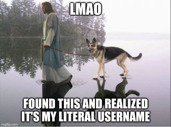 insert crappy title | LMAO; FOUND THIS AND REALIZED IT'S MY LITERAL USERNAME | image tagged in god dog | made w/ Imgflip meme maker