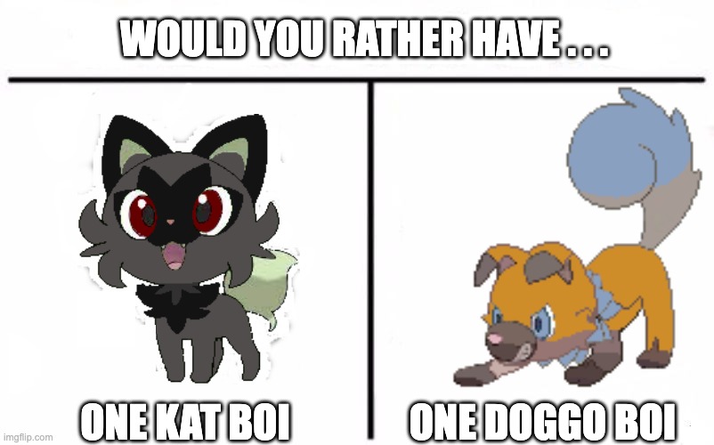 Who Would Win Blank | WOULD YOU RATHER HAVE . . . ONE DOGGO BOI; ONE KAT BOI | image tagged in who would win blank | made w/ Imgflip meme maker