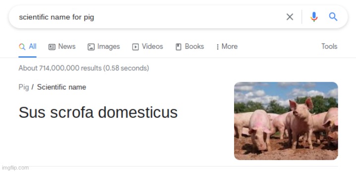 NOW PIGS ARE SUS?! | image tagged in memes,cursed image | made w/ Imgflip meme maker