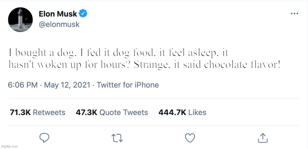 Elon Musk Blank Tweet | I bought a dog, I fed it dog food, it feel asleep, it hasn't woken up for hours? Strange, it said chocolate flavor! | image tagged in elon musk blank tweet | made w/ Imgflip meme maker