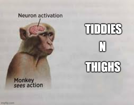 yes | TIDDIES; N; THIGHS | image tagged in neuron activation | made w/ Imgflip meme maker
