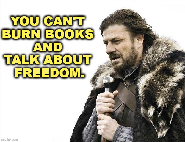 No, you just can't. | YOU CAN'T 
BURN BOOKS 
AND 
TALK ABOUT 
FREEDOM. | image tagged in memes,brace yourselves x is coming,burn,books,ignorance,freedom | made w/ Imgflip meme maker