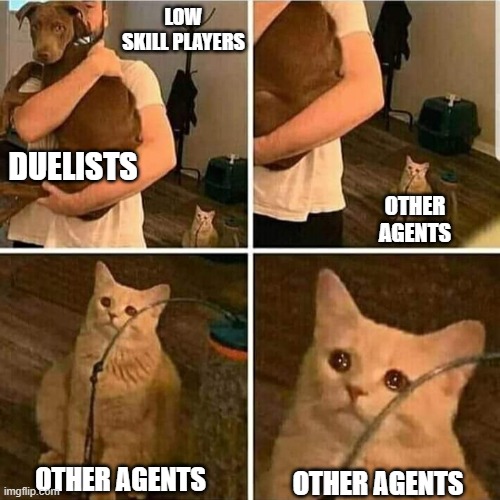 valorant first game | LOW SKILL PLAYERS; DUELISTS; OTHER AGENTS; OTHER AGENTS; OTHER AGENTS | image tagged in sad cat holding dog | made w/ Imgflip meme maker