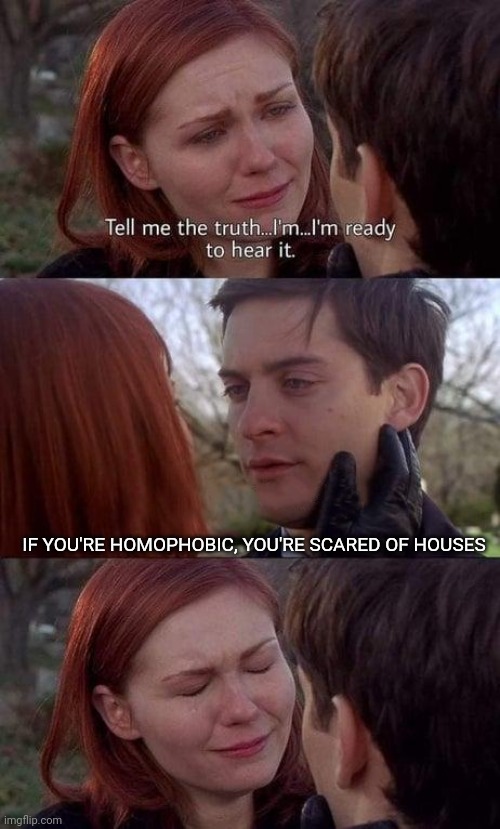 . | IF YOU'RE HOMOPHOBIC, YOU'RE SCARED OF HOUSES | image tagged in e | made w/ Imgflip meme maker
