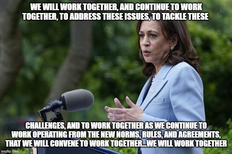 More Veep Thoughts |  WE WILL WORK TOGETHER, AND CONTINUE TO WORK TOGETHER, TO ADDRESS THESE ISSUES, TO TACKLE THESE; CHALLENGES, AND TO WORK TOGETHER AS WE CONTINUE TO WORK OPERATING FROM THE NEW NORMS, RULES, AND AGREEMENTS, THAT WE WILL CONVENE TO WORK TOGETHER...WE WILL WORK TOGETHER | image tagged in funny,kamala harris | made w/ Imgflip meme maker