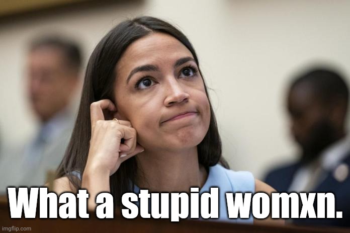 aoc Scratches her empty head | What a stupid womxn. | image tagged in aoc scratches her empty head | made w/ Imgflip meme maker