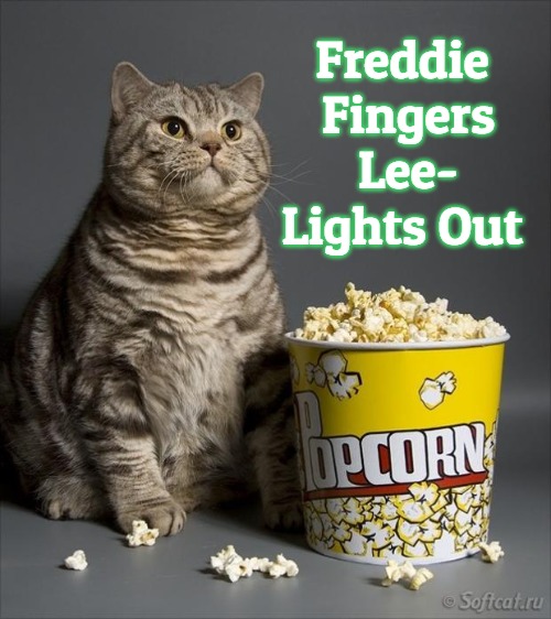 Cat eating popcorn | Freddie
 Fingers
 Lee-
Lights Out | image tagged in cat eating popcorn,slavic,freddie 'fingers' lee,lights out | made w/ Imgflip meme maker