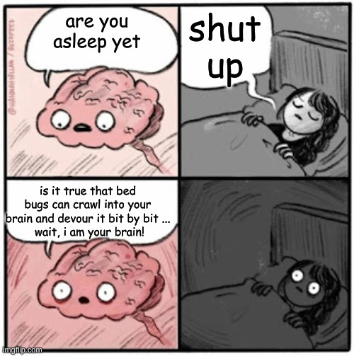 Brain Before Sleep | shut up; are you asleep yet; is it true that bed bugs can crawl into your brain and devour it bit by bit ...
 wait, i am your brain! | image tagged in brain before sleep | made w/ Imgflip meme maker