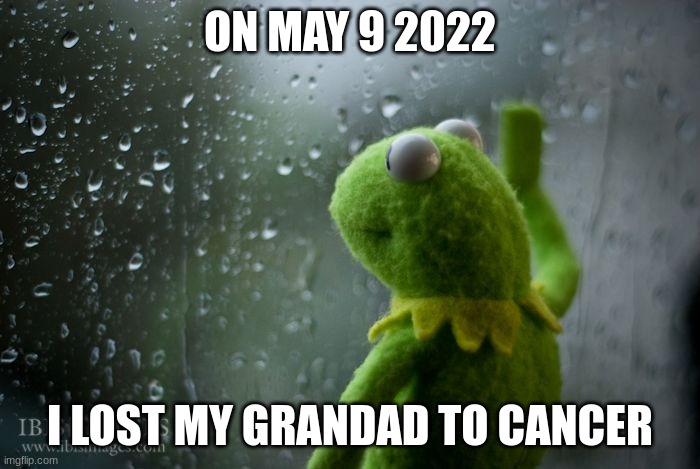 kermit window | ON MAY 9 2022; I LOST MY GRANDAD TO CANCER | image tagged in kermit window | made w/ Imgflip meme maker