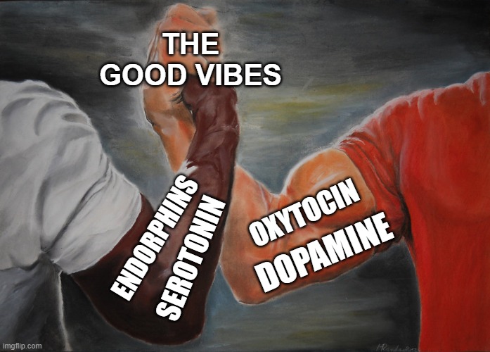 Chemical Concoction = Good Times | THE GOOD VIBES; OXYTOCIN; ENDORPHINS; DOPAMINE; SEROTONIN | image tagged in memes,epic handshake,good vibes | made w/ Imgflip meme maker
