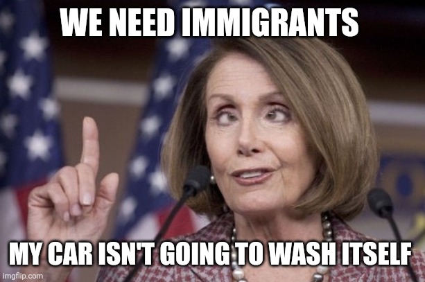 Nancy pelosi | WE NEED IMMIGRANTS MY CAR ISN'T GOING TO WASH ITSELF | image tagged in nancy pelosi | made w/ Imgflip meme maker