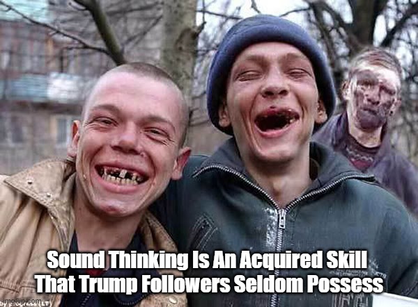 Soung Thinking Is An Acquired Skill That Trump Supporters Seldom Possess | Sound Thinking Is An Acquired Skill 
That Trump Followers Seldom Possess | image tagged in sound thinking,trump supporters | made w/ Imgflip meme maker