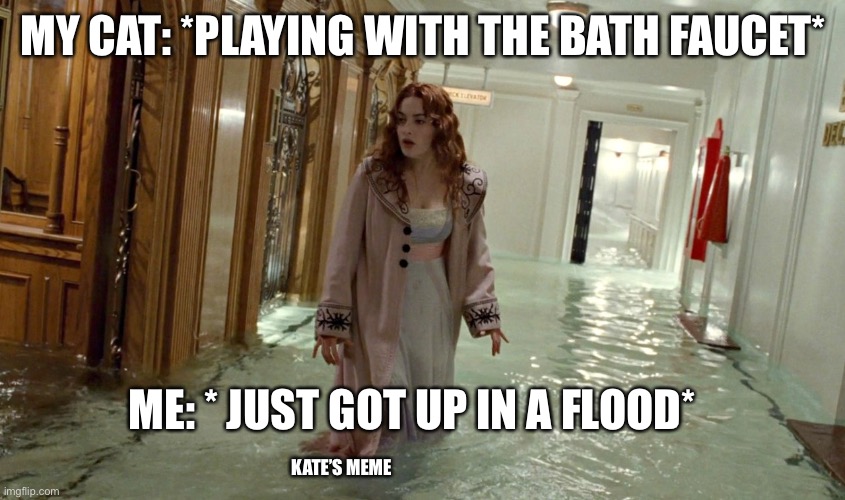 Flood | MY CAT: *PLAYING WITH THE BATH FAUCET*; ME: * JUST GOT UP IN A FLOOD*; KATE’S MEME | image tagged in titanic | made w/ Imgflip meme maker