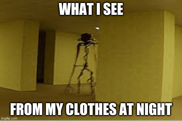 me when clothes at night | WHAT I SEE; FROM MY CLOTHES AT NIGHT | image tagged in backrooms entity | made w/ Imgflip meme maker