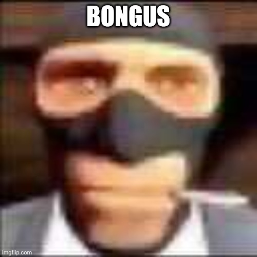 bongus | BONGUS | image tagged in bongus | made w/ Imgflip meme maker