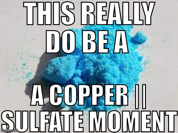 copper 2 sulfate moment | image tagged in copper 2 sulfate moment | made w/ Imgflip meme maker