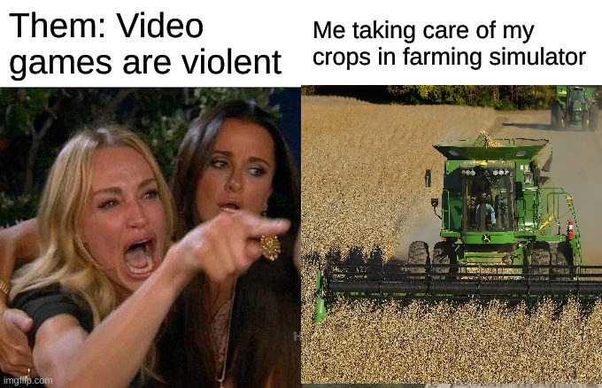 Them: Video games are violent; Me taking care of my crops in farming simulator | image tagged in woman yelling at cat | made w/ Imgflip meme maker