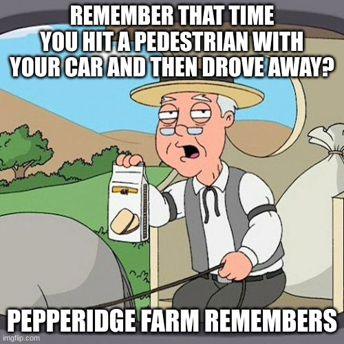 Pepperidge Farm Remembers | REMEMBER THAT TIME YOU HIT A PEDESTRIAN WITH YOUR CAR AND THEN DROVE AWAY? PEPPERIDGE FARM REMEMBERS | image tagged in memes,pepperidge farm remembers | made w/ Imgflip meme maker