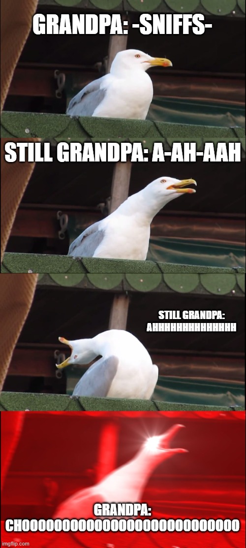 You know youve heard this. | GRANDPA: -SNIFFS-; STILL GRANDPA: A-AH-AAH; STILL GRANDPA: AHHHHHHHHHHHHHH; GRANDPA: CHOOOOOOOOOOOOOOOOOOOOOOOOOOO | image tagged in memes,inhaling seagull | made w/ Imgflip meme maker