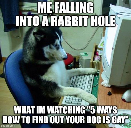 doge | ME FALLING INTO A RABBIT HOLE; WHAT IM WATCHING "5 WAYS HOW TO FIND OUT YOUR DOG IS GAY" | image tagged in memes,i have no idea what i am doing | made w/ Imgflip meme maker