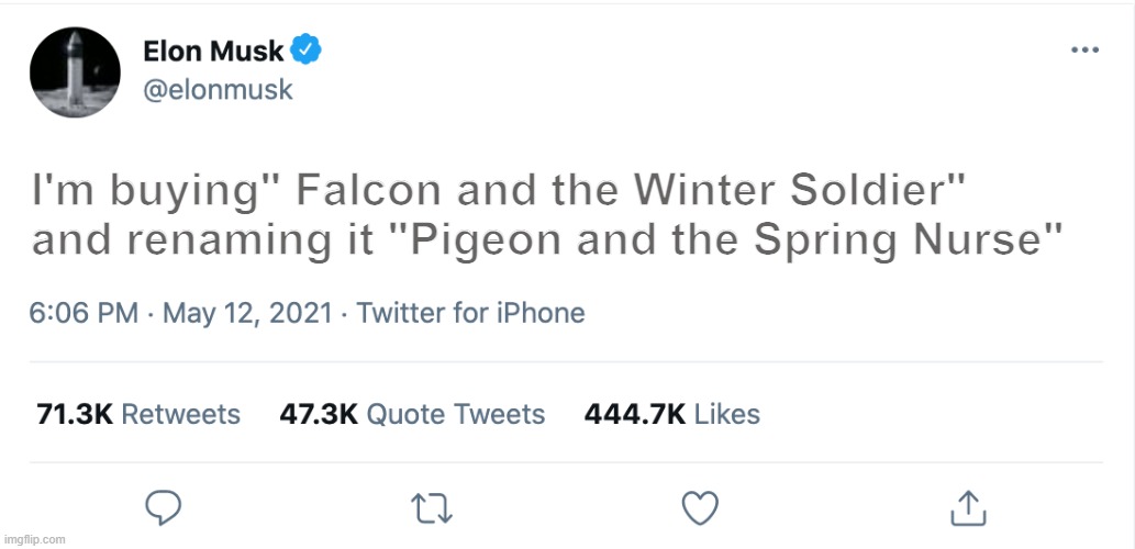 elon tho *credit: steven he | I'm buying" Falcon and the Winter Soldier" and renaming it "Pigeon and the Spring Nurse" | image tagged in elon musk blank tweet | made w/ Imgflip meme maker