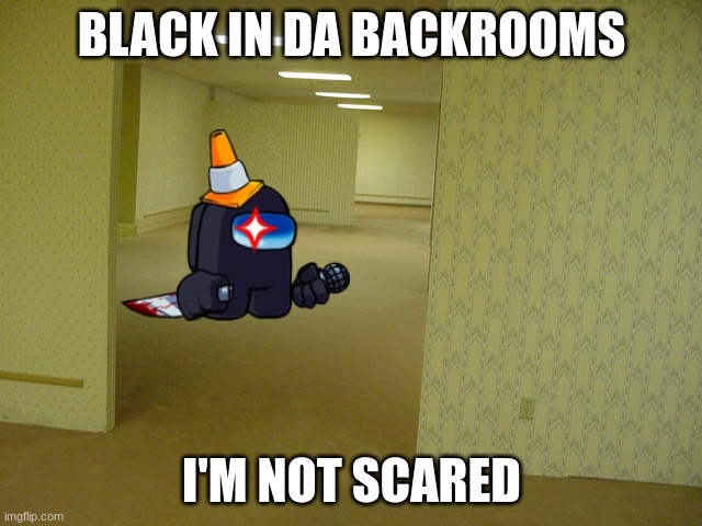 AaAaAaAaAaAaAaAaAaAaAaAaAaAaAaAaAa | BLACK IN DA BACKROOMS; I'M NOT SCARED | image tagged in the backrooms | made w/ Imgflip meme maker