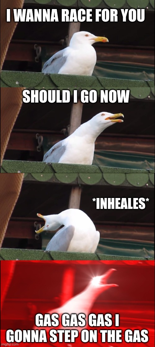Inhaling Seagull Meme | I WANNA RACE FOR YOU; SHOULD I GO NOW; *INHEALES*; GAS GAS GAS I GONNA STEP ON THE GAS | image tagged in memes,inhaling seagull | made w/ Imgflip meme maker