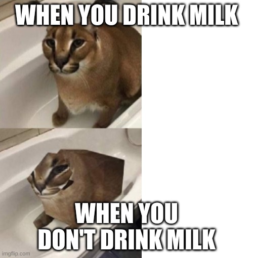 floppa in tub | WHEN YOU DRINK MILK; WHEN YOU DON'T DRINK MILK | image tagged in 2 bits floppa | made w/ Imgflip meme maker