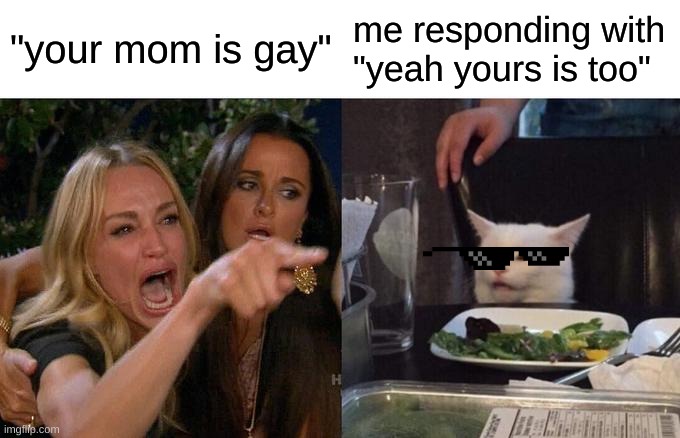 Woman Yelling At Cat | "your mom is gay"; me responding with "yeah yours is too" | image tagged in memes,woman yelling at cat | made w/ Imgflip meme maker