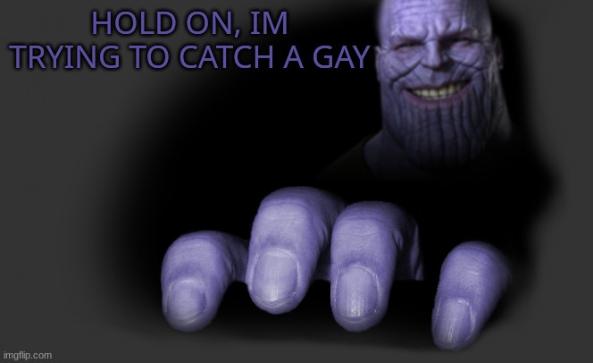 thanos trying to catch | HOLD ON, IM TRYING TO CATCH A GAY | image tagged in thanos trying to catch | made w/ Imgflip meme maker