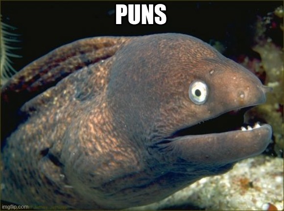Bad Joke Eel Meme | PUNS | image tagged in memes,bad joke eel | made w/ Imgflip meme maker