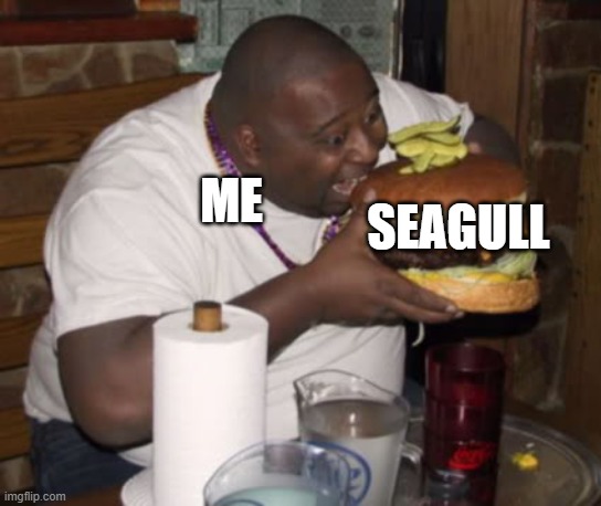 Fat guy eating burger | SEAGULL ME | image tagged in fat guy eating burger | made w/ Imgflip meme maker