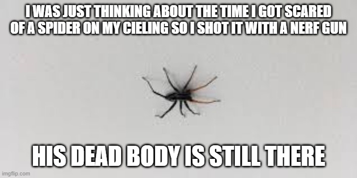 dead spider | I WAS JUST THINKING ABOUT THE TIME I GOT SCARED OF A SPIDER ON MY CIELING SO I SHOT IT WITH A NERF GUN; HIS DEAD BODY IS STILL THERE | image tagged in spider,true story,history,not funny | made w/ Imgflip meme maker