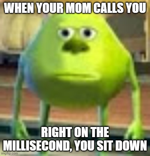 Sully Wazowski | WHEN YOUR MOM CALLS YOU; RIGHT ON THE MILLISECOND, YOU SIT DOWN | image tagged in sully wazowski,facts | made w/ Imgflip meme maker