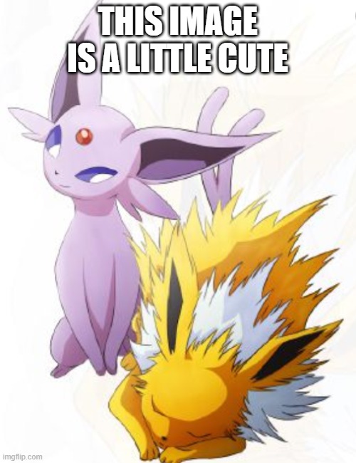 jolteon x espeon | THIS IMAGE IS A LITTLE CUTE | image tagged in jolteon x espeon | made w/ Imgflip meme maker