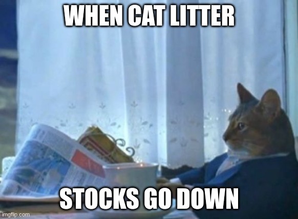cat stonks | WHEN CAT LITTER; STOCKS GO DOWN | image tagged in memes,i should buy a boat cat | made w/ Imgflip meme maker