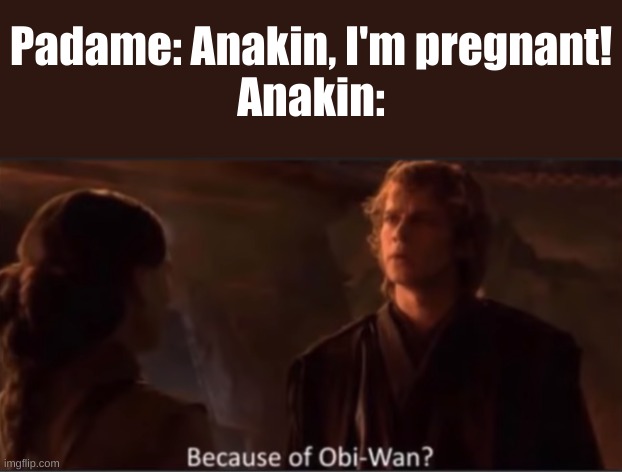 Because of Obi-Wan? | Padame: Anakin, I'm pregnant!
Anakin: | image tagged in because of obi-wan,obi wan kenobi,anakin skywalker,funny memes,stop reading the tags | made w/ Imgflip meme maker