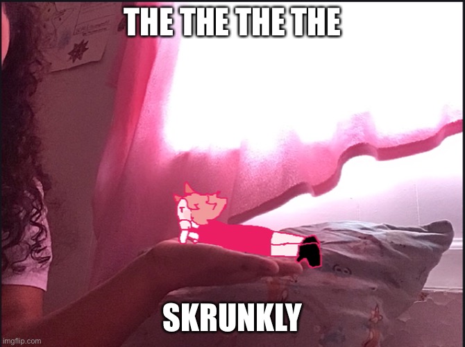 I met my oc irl is popular so ye | THE THE THE THE; SKRUNKLY | made w/ Imgflip meme maker