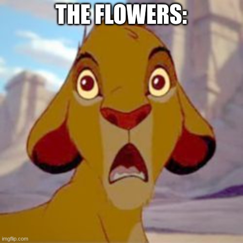 Oh crap | THE FLOWERS: | image tagged in oh crap | made w/ Imgflip meme maker