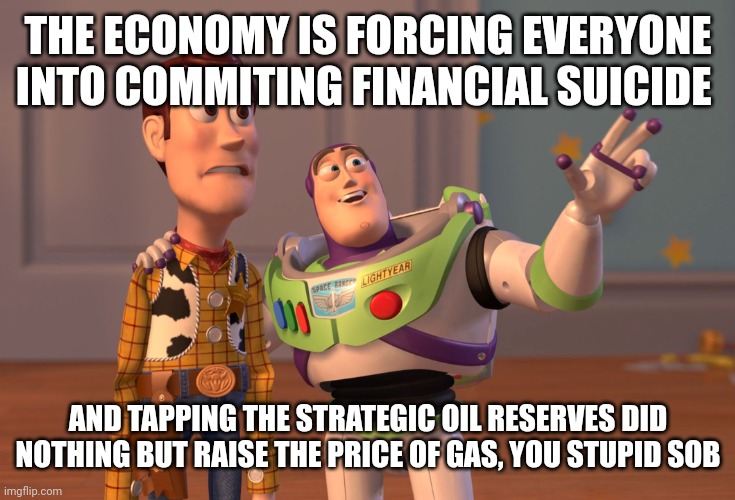 X, X Everywhere | THE ECONOMY IS FORCING EVERYONE INTO COMMITING FINANCIAL SUICIDE; AND TAPPING THE STRATEGIC OIL RESERVES DID NOTHING BUT RAISE THE PRICE OF GAS, YOU STUPID SOB | image tagged in memes,x x everywhere | made w/ Imgflip meme maker