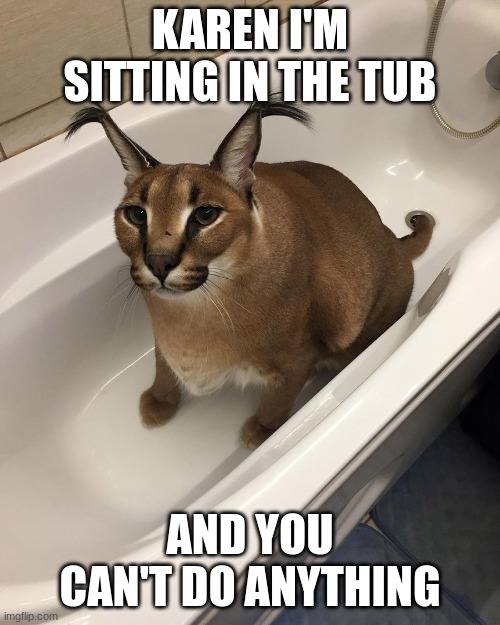 Floppa in the tub | KAREN I'M SITTING IN THE TUB; AND YOU CAN'T DO ANYTHING | image tagged in floppa | made w/ Imgflip meme maker