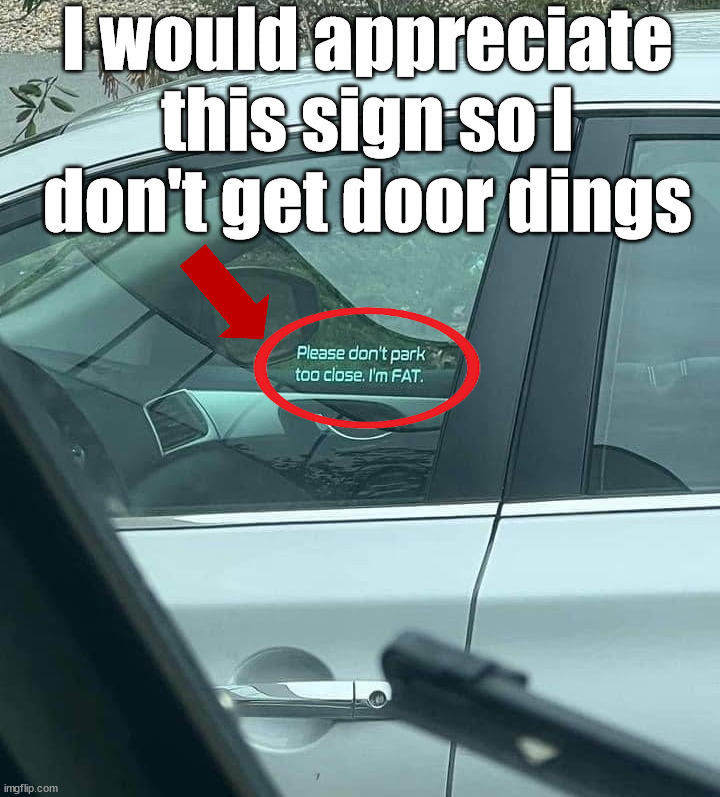 Signs like this would be helpful | I would appreciate this sign so I don't get door dings | image tagged in cars | made w/ Imgflip meme maker