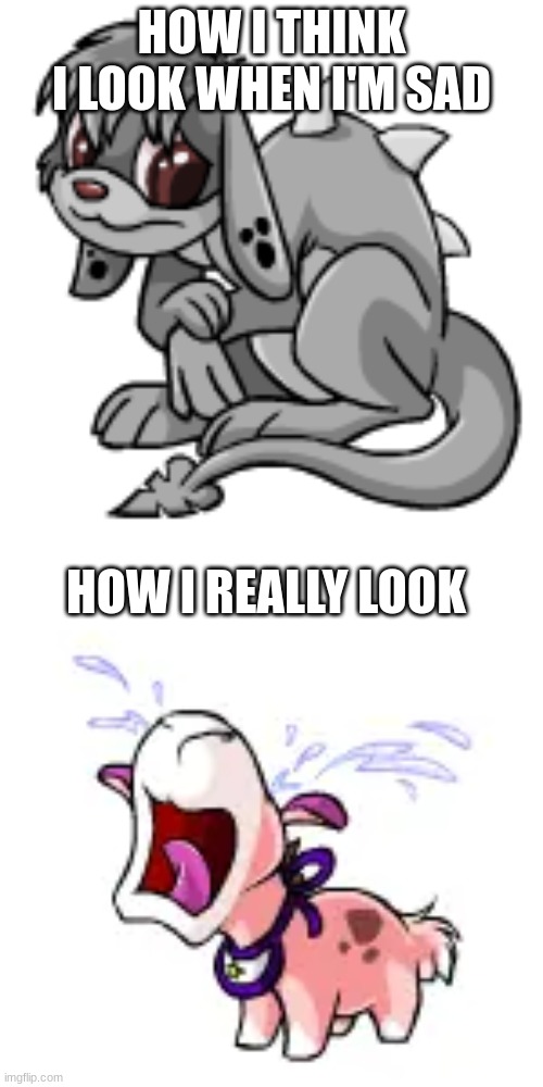*insert clever title here* | HOW I THINK I LOOK WHEN I'M SAD; HOW I REALLY LOOK | image tagged in neopets,memes,funny,why are you reading this | made w/ Imgflip meme maker