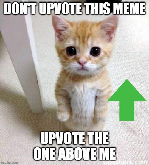 Have a good day! | DON'T UPVOTE THIS MEME; UPVOTE THE ONE ABOVE ME | image tagged in memes,cute cat,funny | made w/ Imgflip meme maker