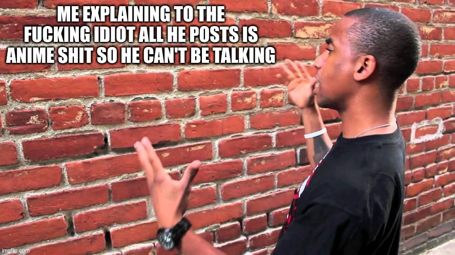 ME EXPLAINING TO THE FUCKING IDIOT ALL HE POSTS IS ANIME SHIT SO HE CAN'T BE TALKING | image tagged in talking to wall | made w/ Imgflip meme maker